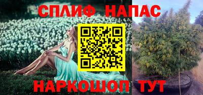 шишки Нягань