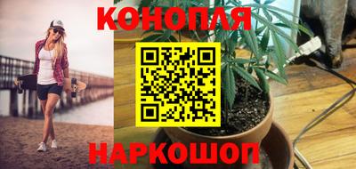 шишки Нягань