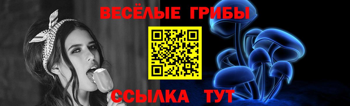 Галлюциногенные грибы Psilocybine cubensis Родники